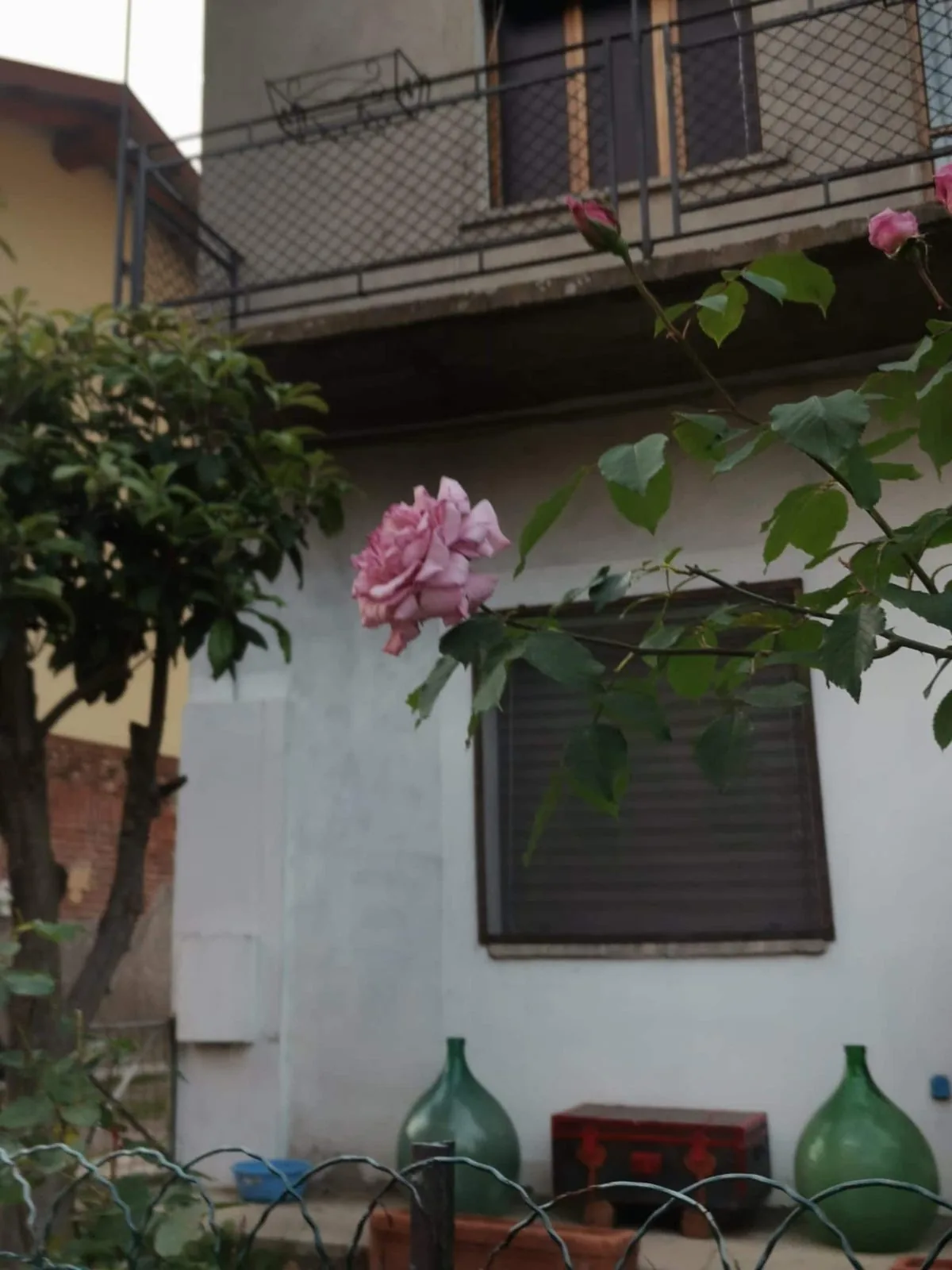 Casa Aura Roasio · Casa vacanze tra vigneti e risaie, Roasio (VC),  (Piemonte)
